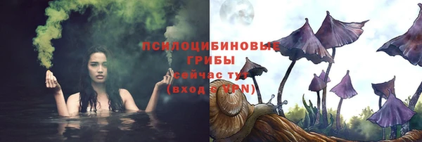 а пвп мука Пересвет
