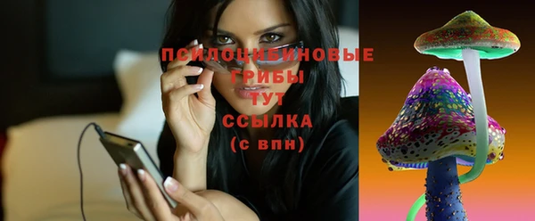 а пвп мука Пересвет