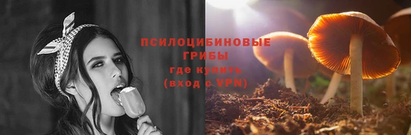 бутират Переславль-Залесский