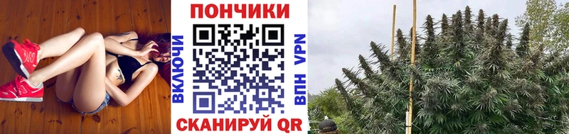 МАРИХУАНА семена  магазин    Сысерть 